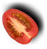 Top Catering Services in Sunbury, OH